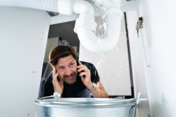 Best Drain Cleaning Services  in Roselle Park, NJ