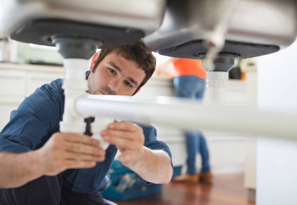 Best Plumbing Services Near Me  in Roselle Park, NJ