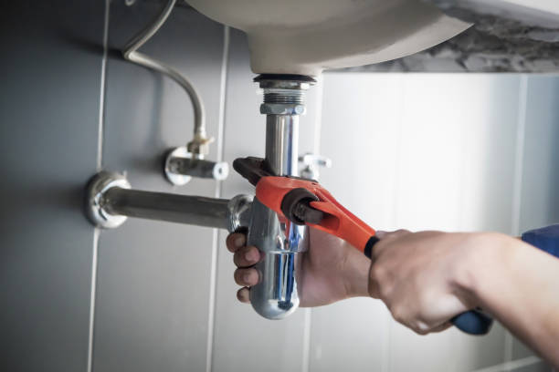 Best Plumbing Inspection Services  in Roselle Park, NJ